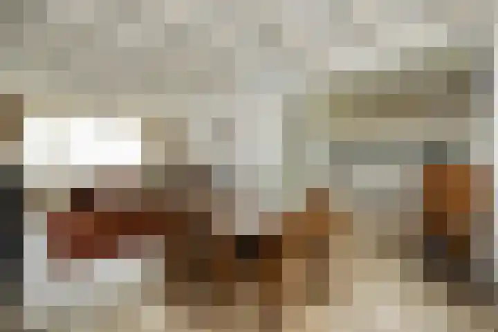 Hulsberg 24 Esch thumbnail 17