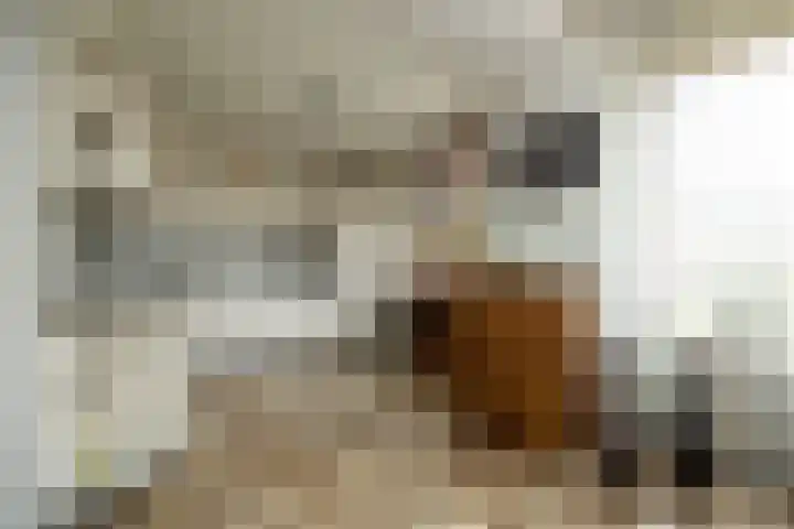 Hulsberg 24 Esch thumbnail 19