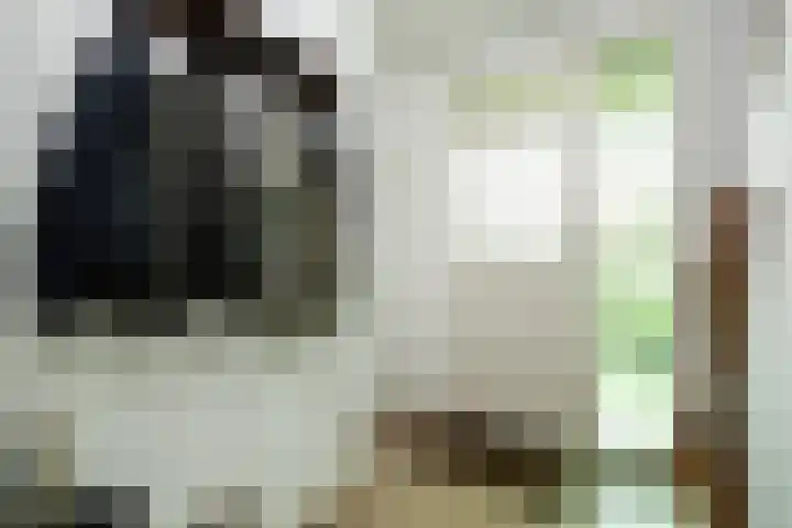 Hulsberg 24 Esch thumbnail 25