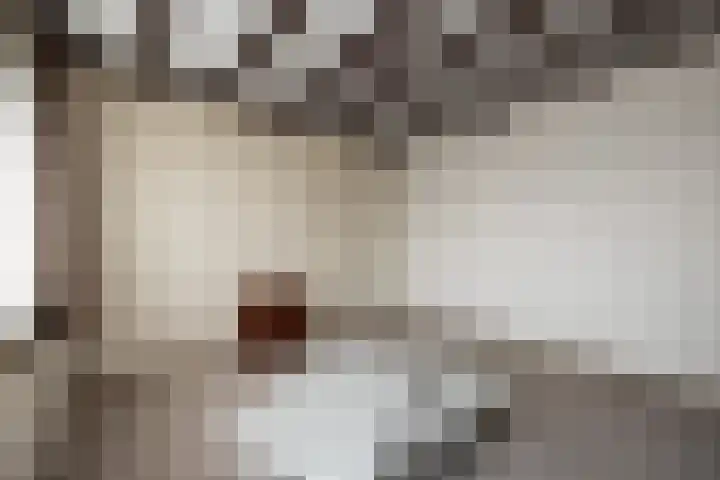 Hulsberg 24 Esch thumbnail 32
