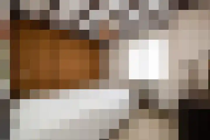 Hulsberg 24 Esch thumbnail 33