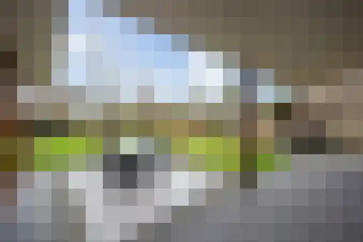 Hulsberg 24 Esch thumbnail 44