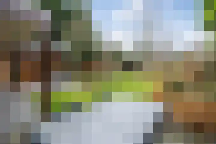 Hulsberg 24 Esch thumbnail 45