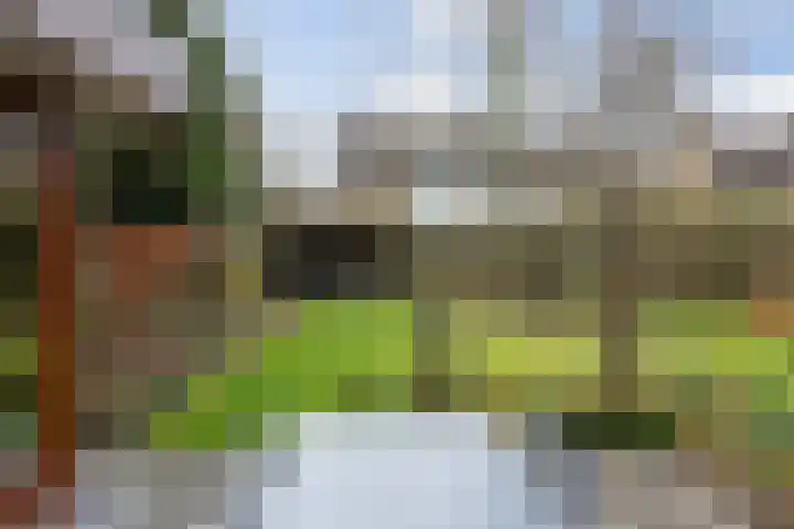 Hulsberg 24 Esch thumbnail 47