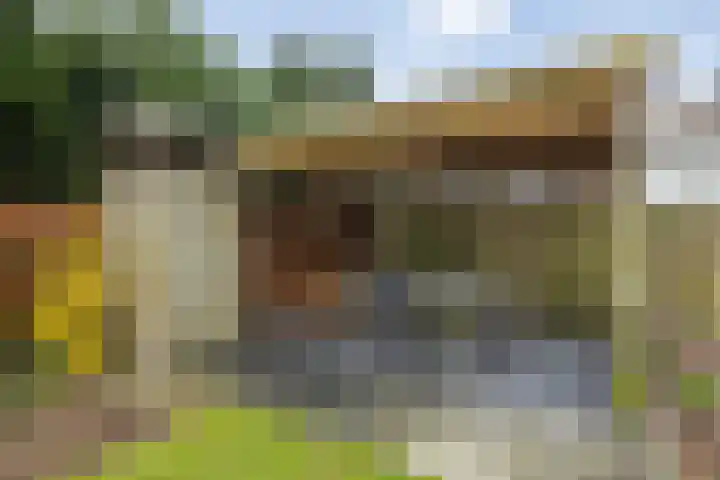 Hulsberg 24 Esch thumbnail 50