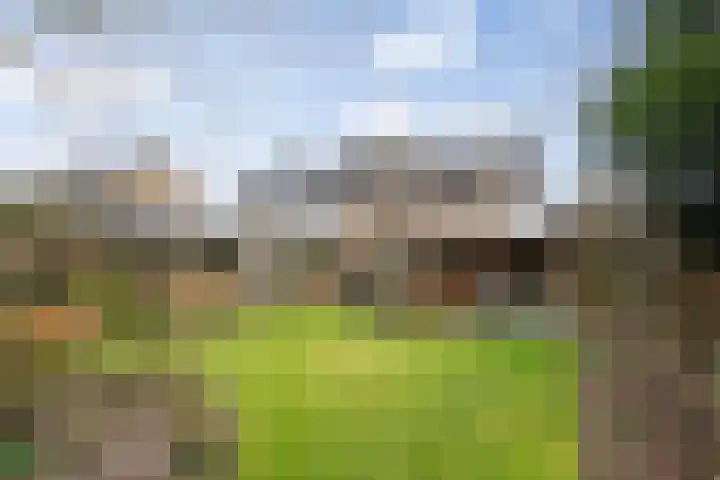 Hulsberg 24 Esch thumbnail 51