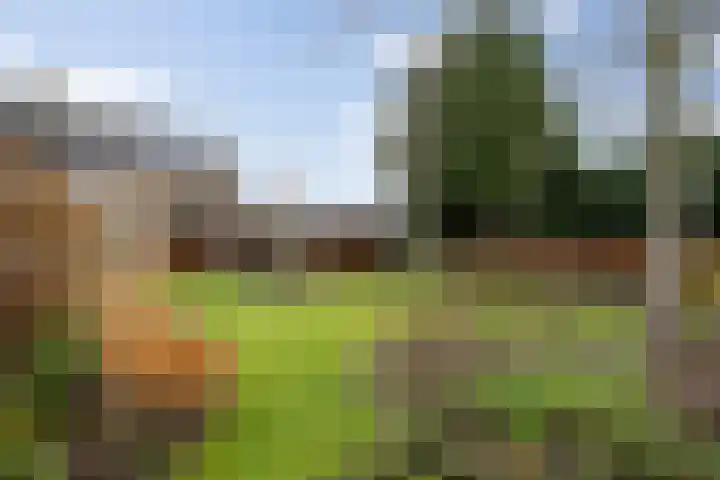 Hulsberg 24 Esch thumbnail 53