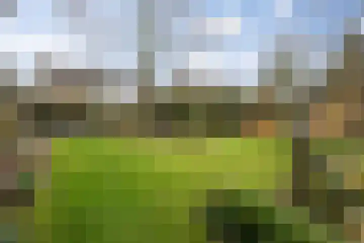 Hulsberg 24 Esch thumbnail 54