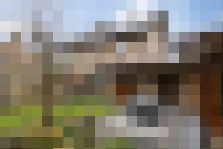 Hulsberg 24 Esch thumbnail 55