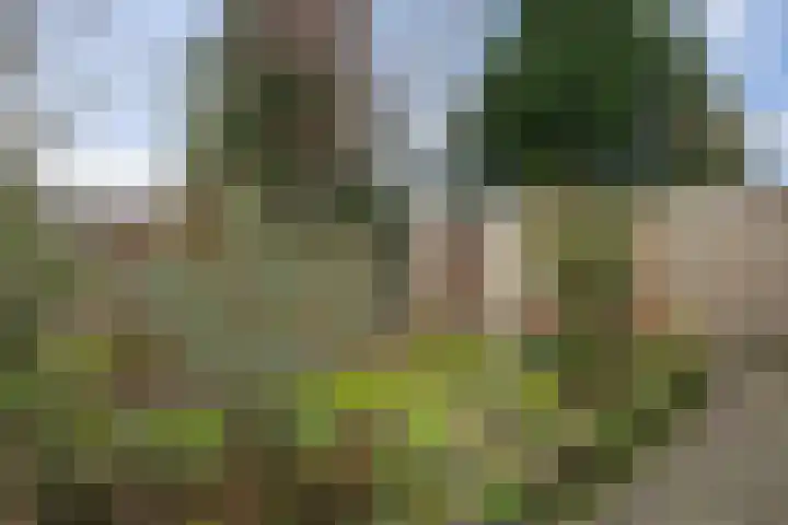 Hulsberg 24 Esch thumbnail 6