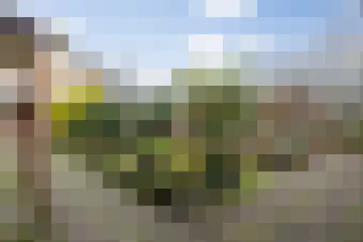 Hulsberg 24 Esch thumbnail 62