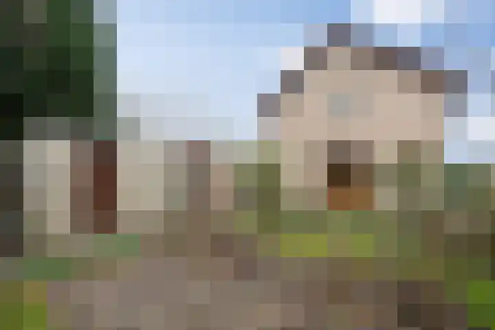 Hulsberg 24 Esch thumbnail 63