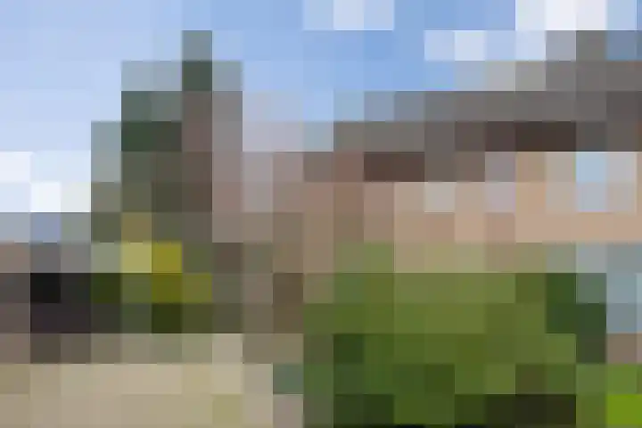 Hulsberg 24 Esch thumbnail 66