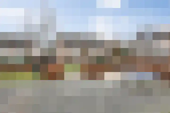 Hulsberg 24 Esch thumbnail 69