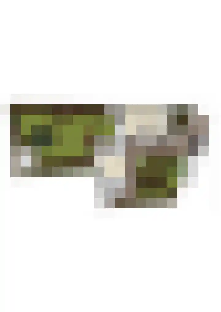 Hulsberg 24 Esch thumbnail 77