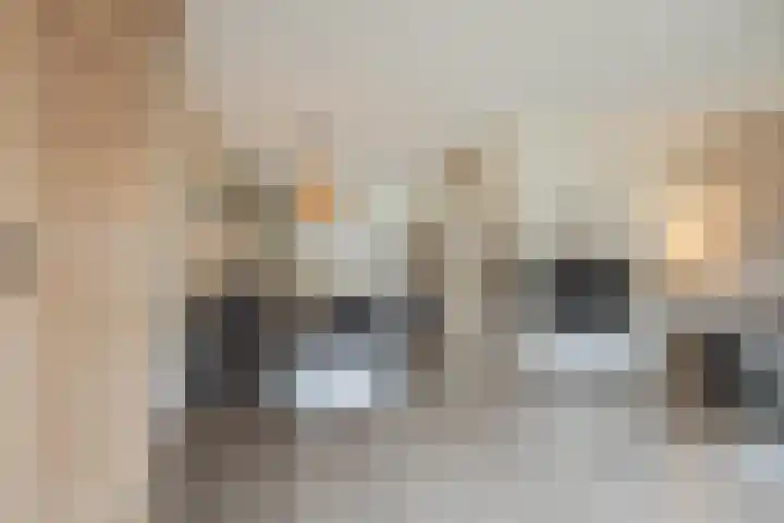 Hulsbergen 15 Wapenveld thumbnail 11