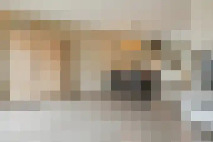 Hulsbergen 15 Wapenveld thumbnail 14