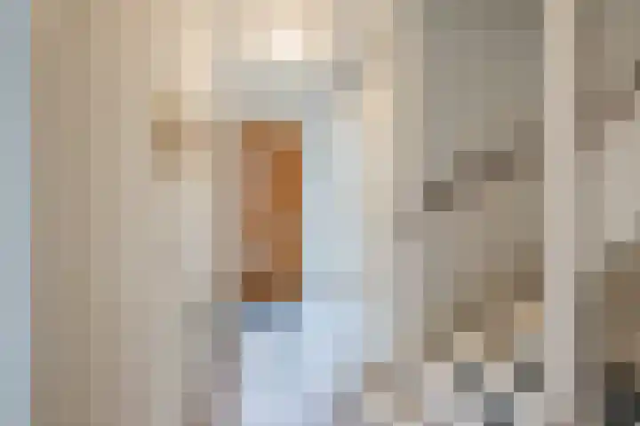 Hulsbergen 15 Wapenveld thumbnail 17