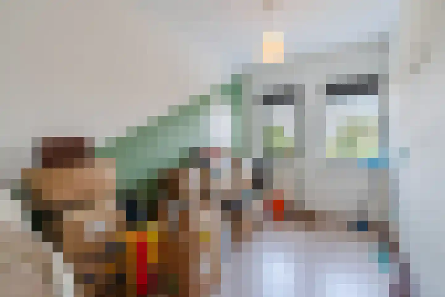 Hulsbergen 15 Wapenveld thumbnail 18