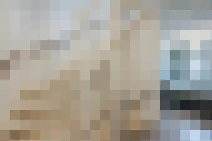 Hulsbergen 15 Wapenveld thumbnail 21