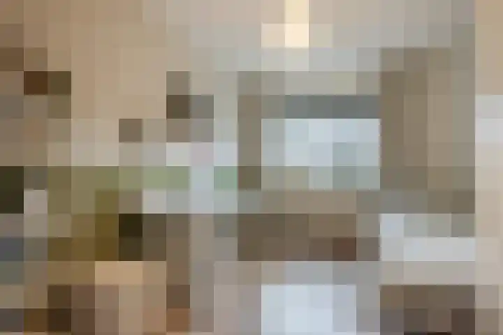 Hulsbergen 15 Wapenveld thumbnail 24
