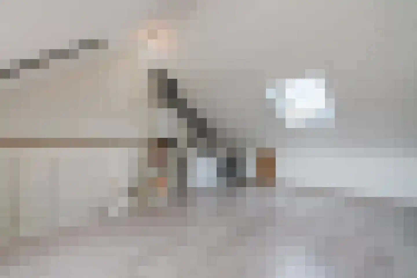 Hulsbergen 15 Wapenveld thumbnail 25