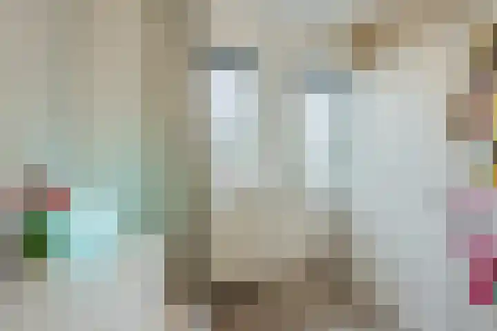 Hulsbergen 15 Wapenveld thumbnail 29