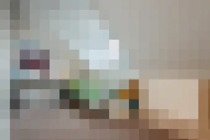 Hulsbergen 15 Wapenveld thumbnail 34