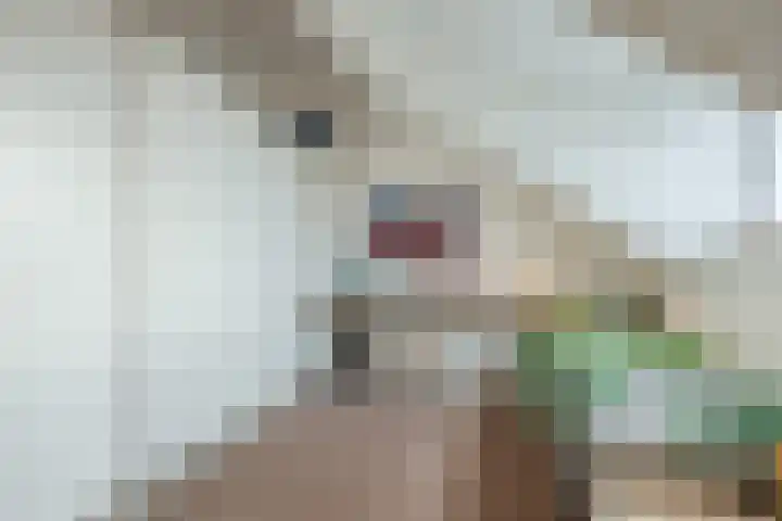 Hulsbergen 15 Wapenveld thumbnail 35