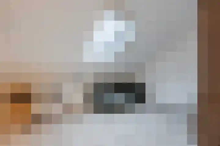 Hulsbergen 15 Wapenveld thumbnail 36