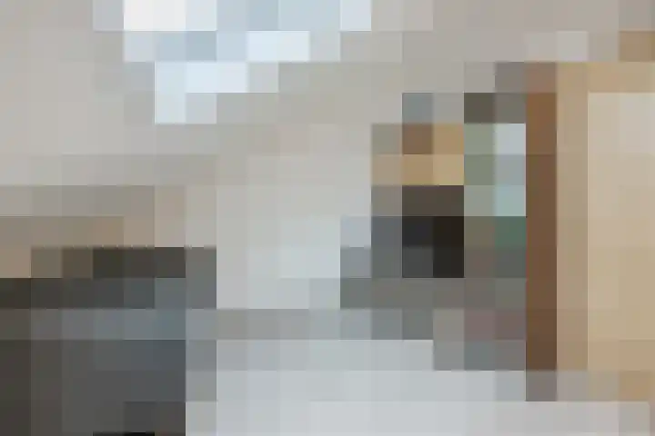 Hulsbergen 15 Wapenveld thumbnail 37