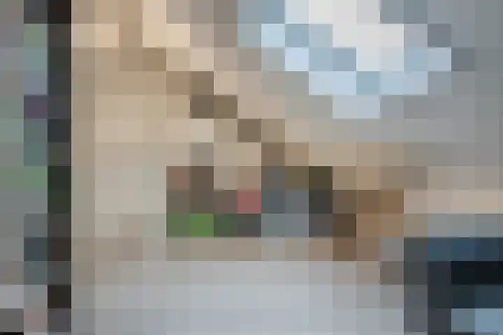 Hulsbergen 15 Wapenveld thumbnail 38