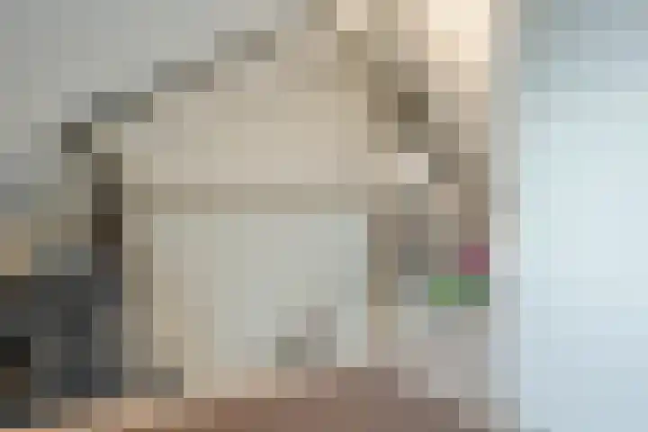 Hulsbergen 15 Wapenveld thumbnail 39