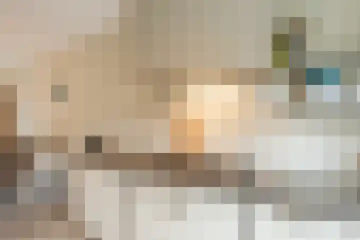 Hulsbergen 15 Wapenveld thumbnail 4