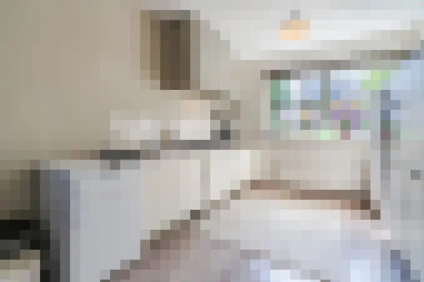 Hulsbergen 15 Wapenveld thumbnail 4