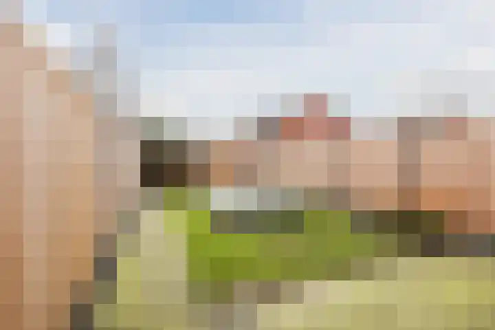 Hulsbergen 15 Wapenveld thumbnail 42