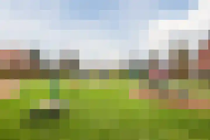 Hulsbergen 15 Wapenveld thumbnail 52
