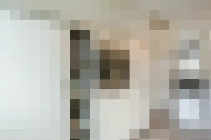 Hulsbergen 15 Wapenveld thumbnail 6