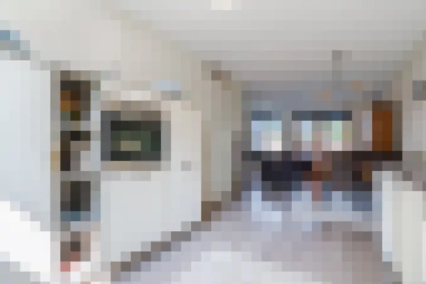Hulsbergen 15 Wapenveld thumbnail 6