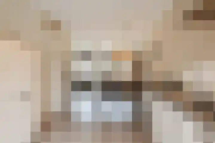 Hulsbergen 15 Wapenveld thumbnail 7