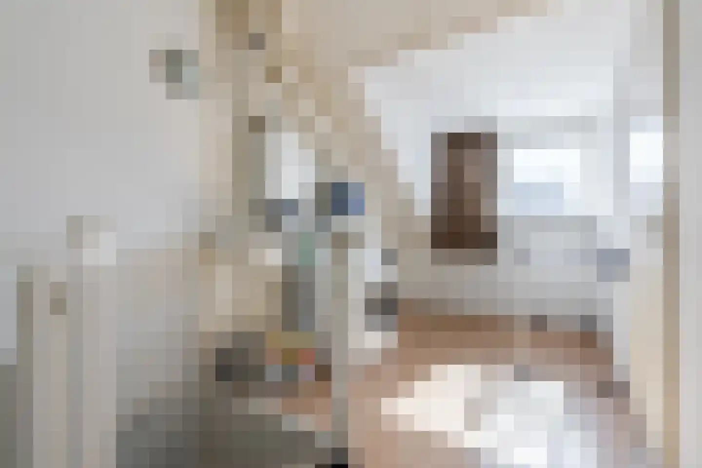 Hulsbergen 24 Wapenveld thumbnail 22