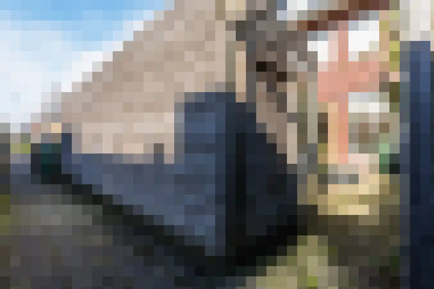 Hulsbergen 24 Wapenveld thumbnail 30
