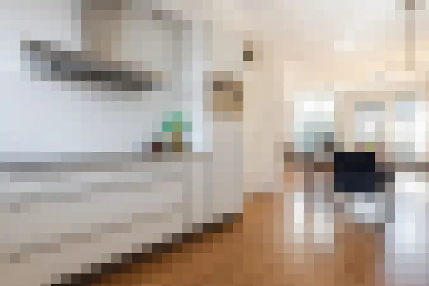 Hulsbergen 24 Wapenveld thumbnail 4