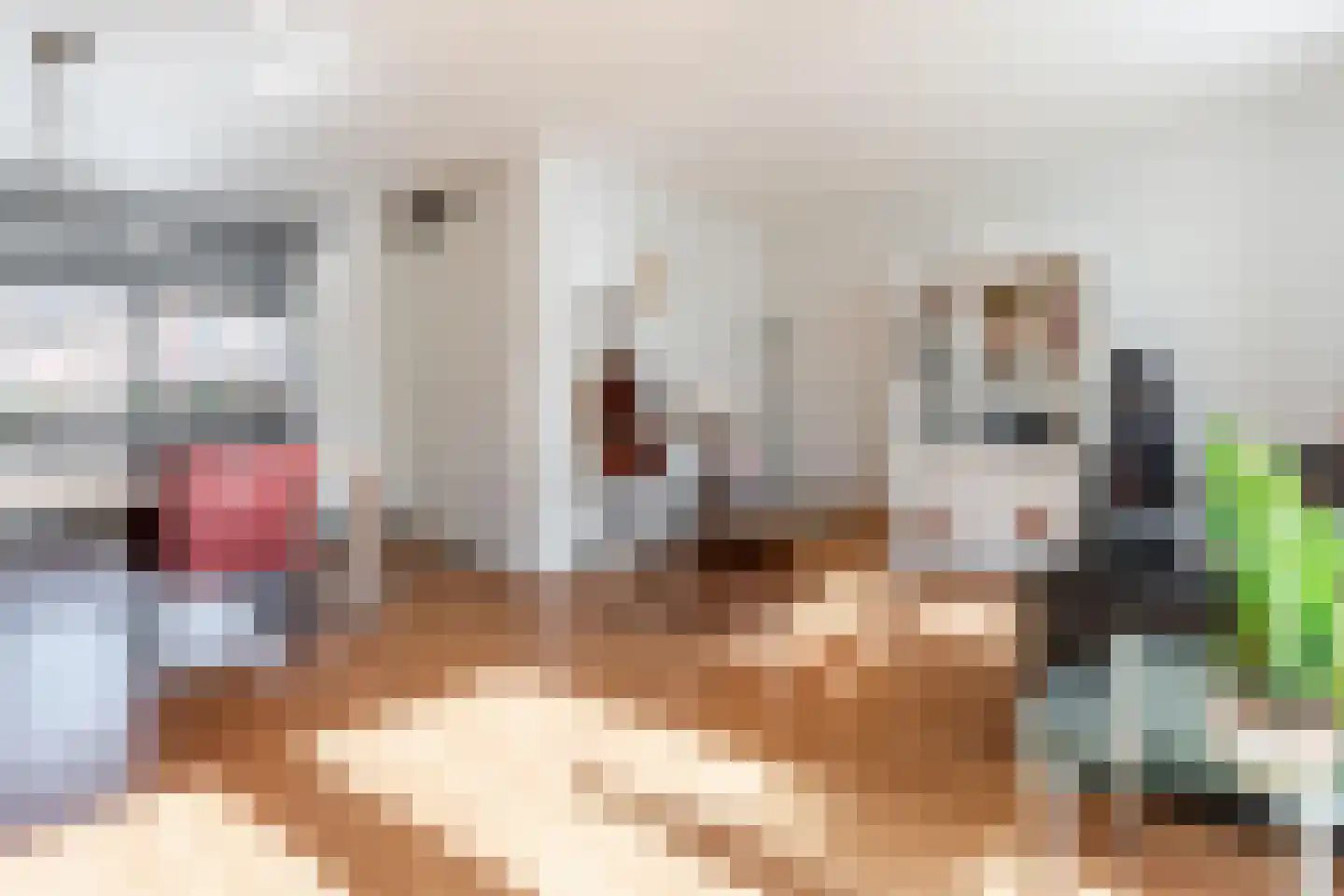 Hulsbergen 24 Wapenveld thumbnail 5