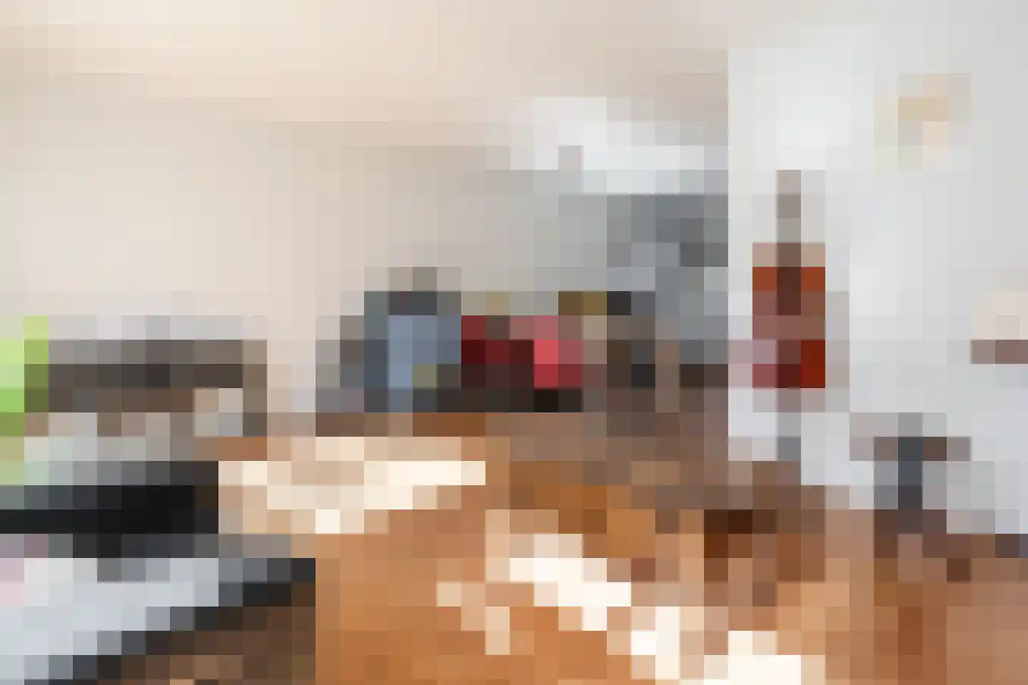 Hulsbergen 24 Wapenveld thumbnail 7