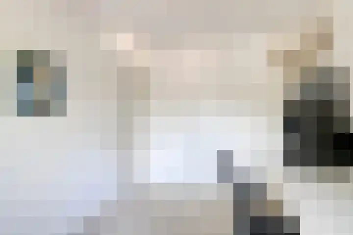 Hulsbergen 6 Wapenveld thumbnail 20