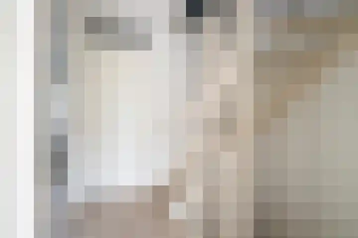Hulsbergen 6 Wapenveld thumbnail 27