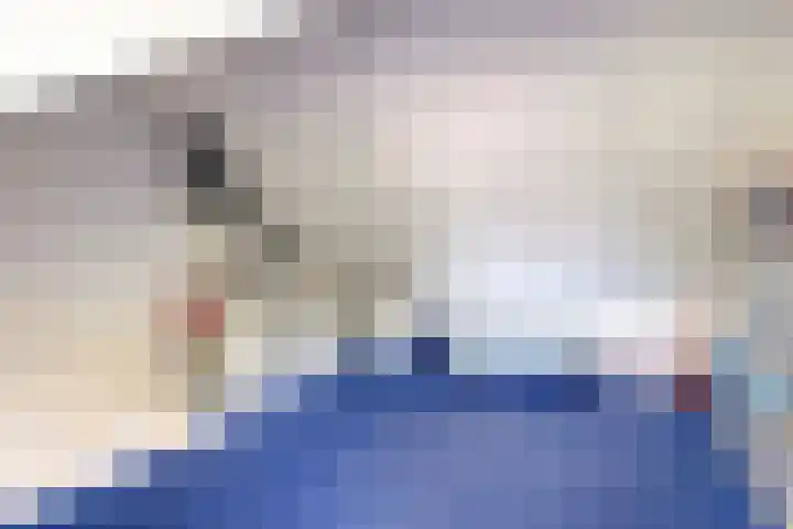 Hulsbergen 6 Wapenveld thumbnail 29