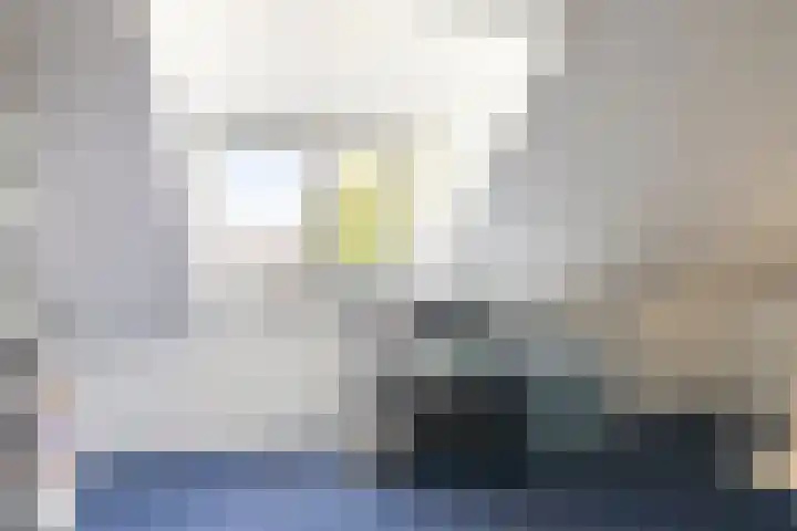 Hulsbergen 6 Wapenveld thumbnail 30