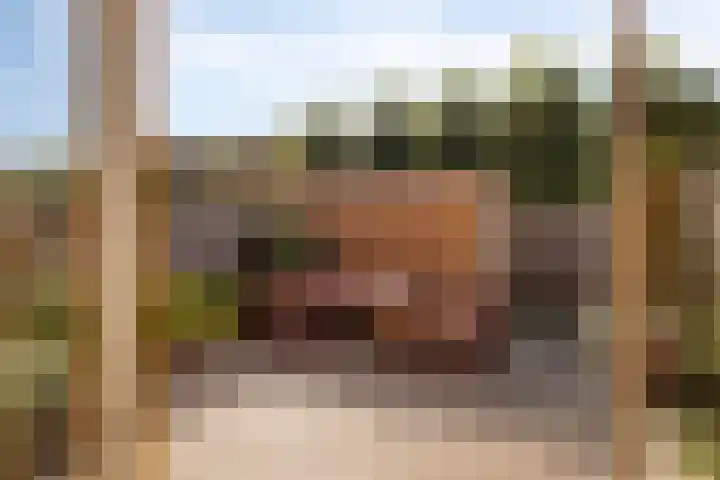 Hulsbergen 6 Wapenveld thumbnail 31